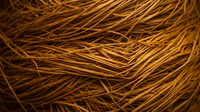 Fibres