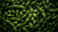Vitamine E