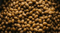 Vitamine K2