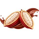Cocoa